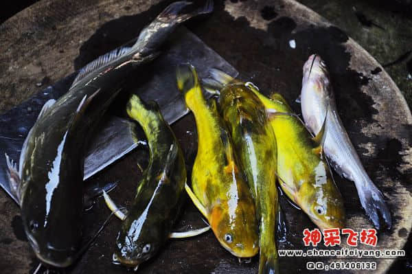 照片 003.jpg