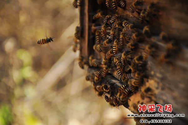照片 255.jpg