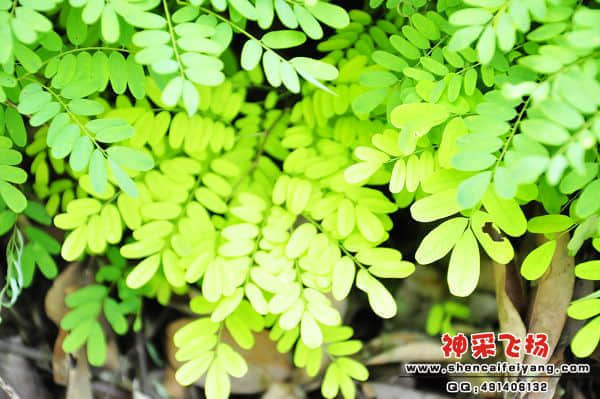 照片 308.jpg