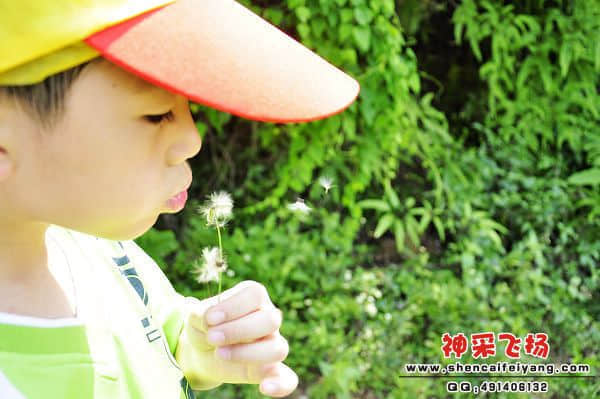 照片 336.jpg