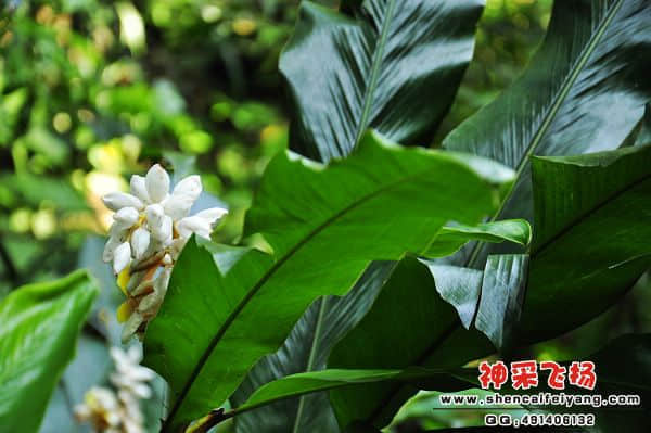 照片 382.jpg