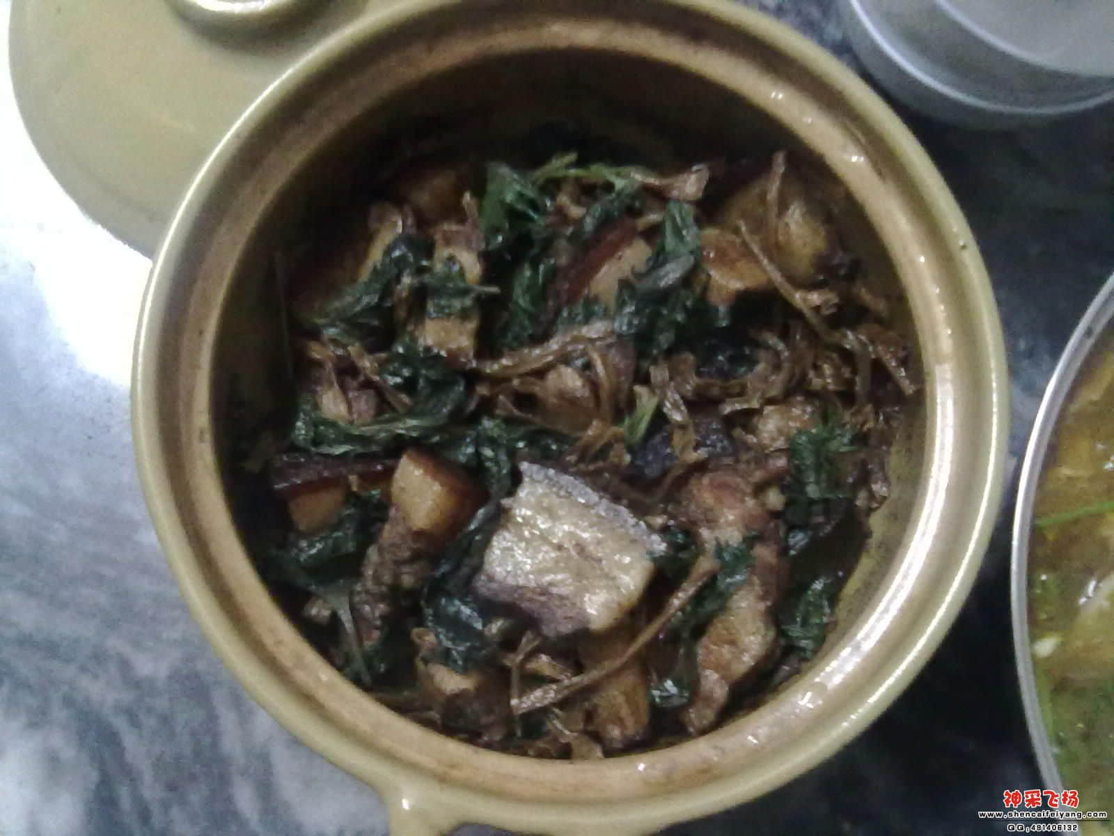 20120421214.jpg