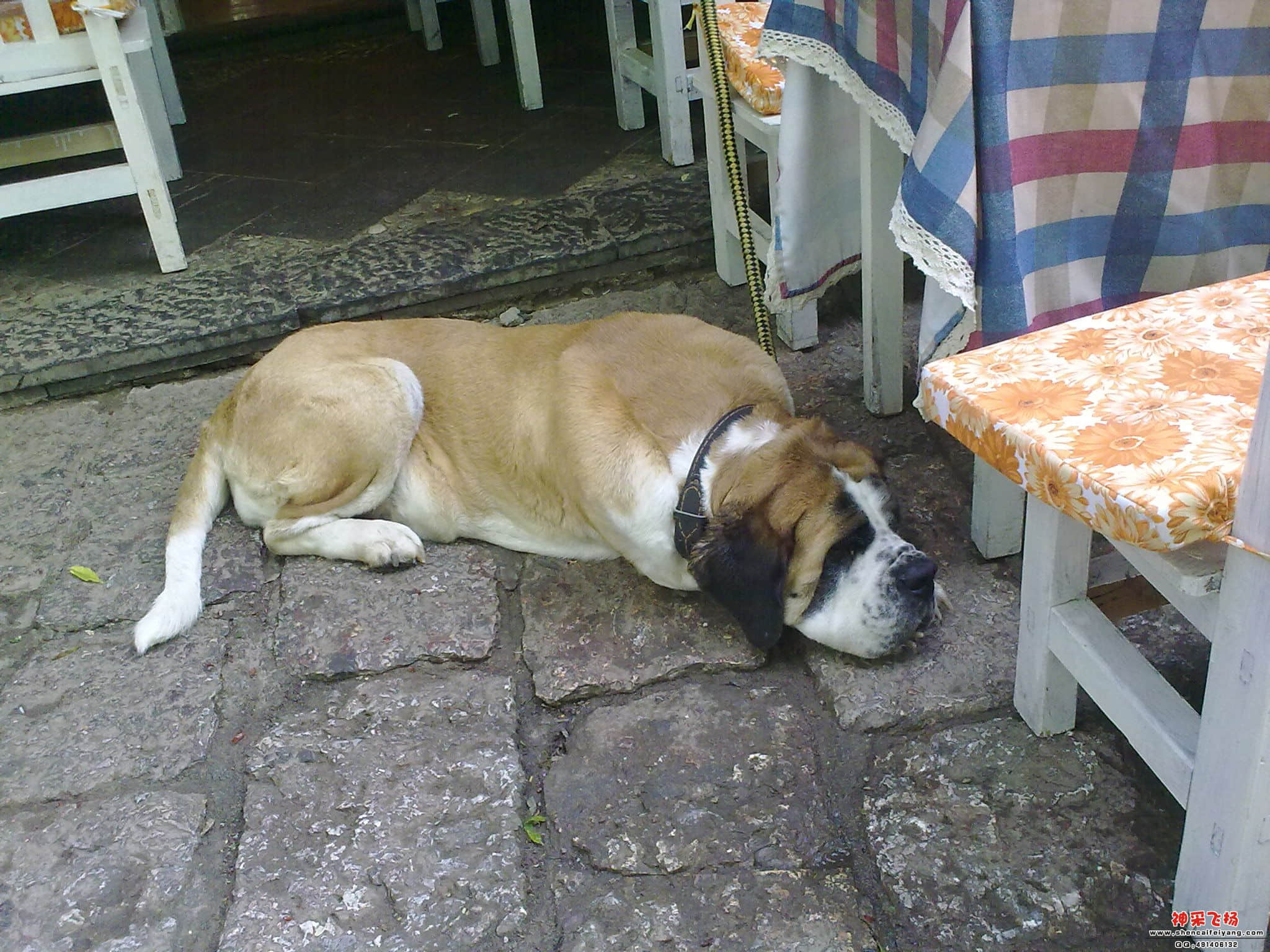 20110527428.jpg