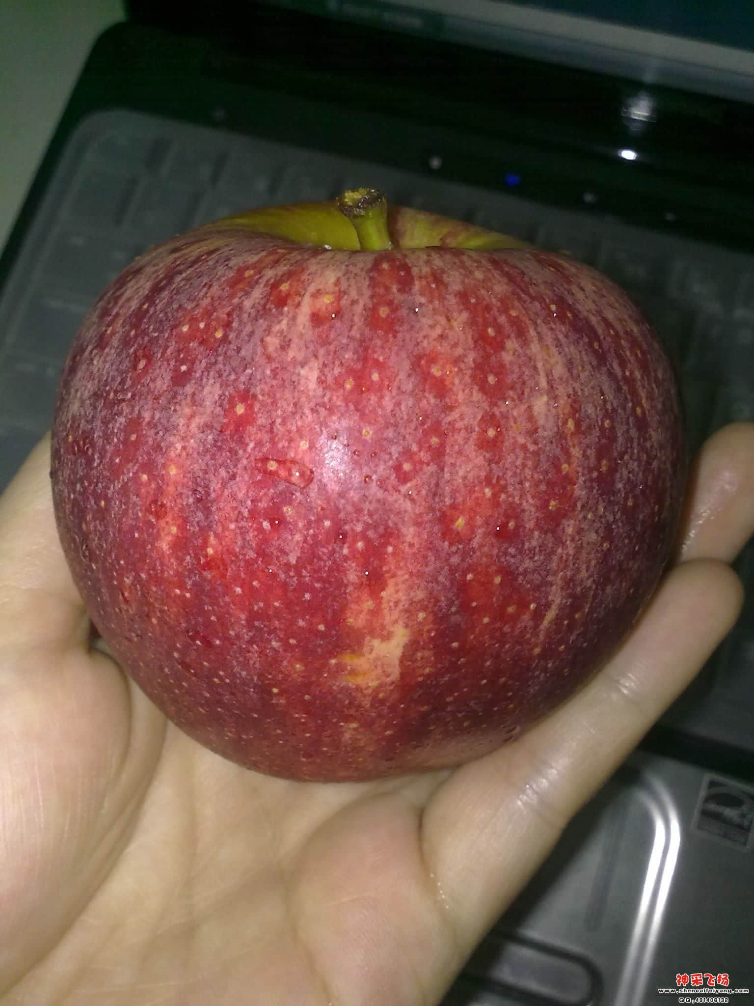 20120426637.jpg