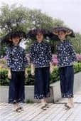 u=3430923381,3839587280&fm=51&gp=0.jpg