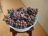 u=319235936,4248393287&fm=51&.jpg