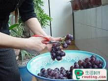 u=2508655308,4242463500&fm=5.jpg
