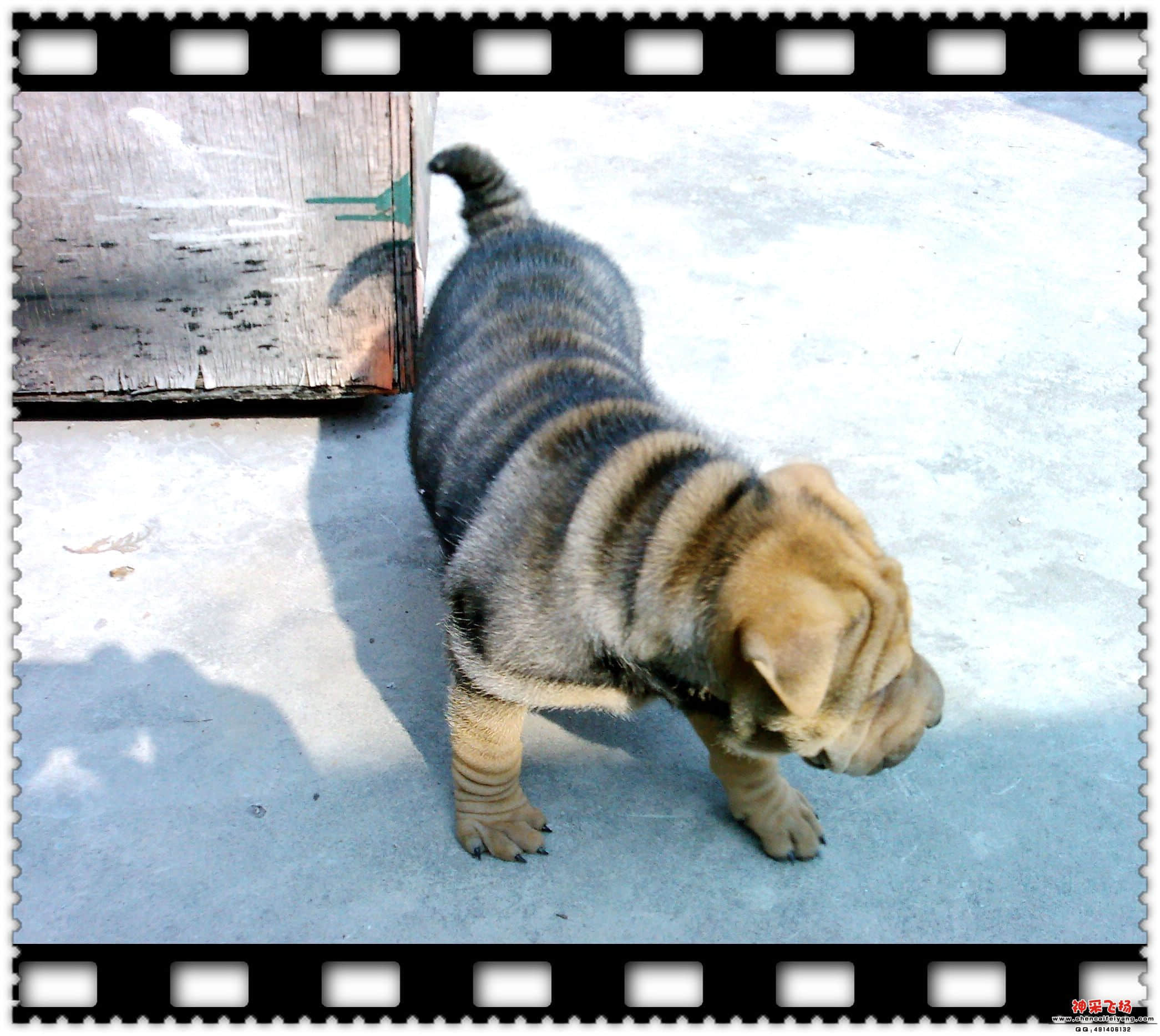 20081214054.jpg