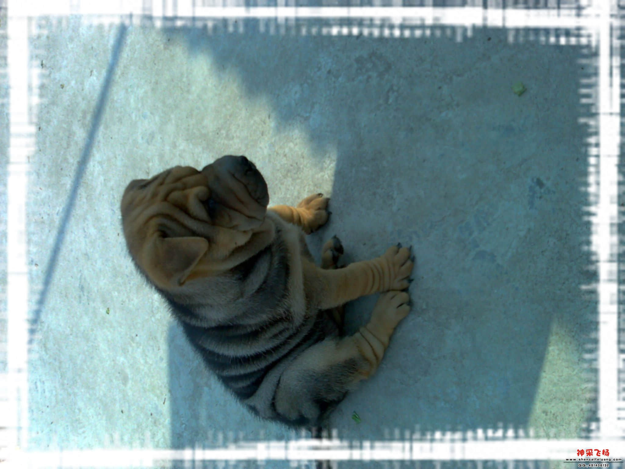 20081214053.jpg