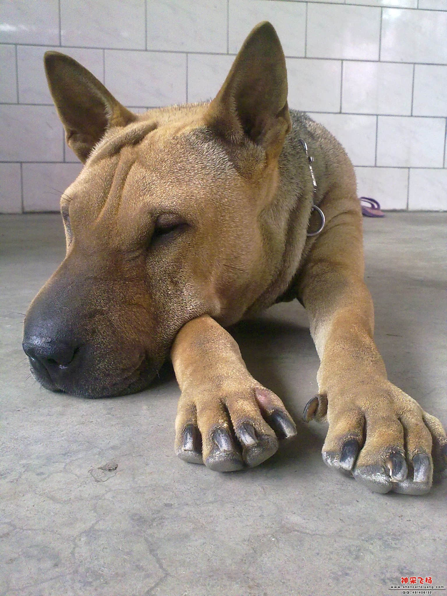 20110624001.jpg