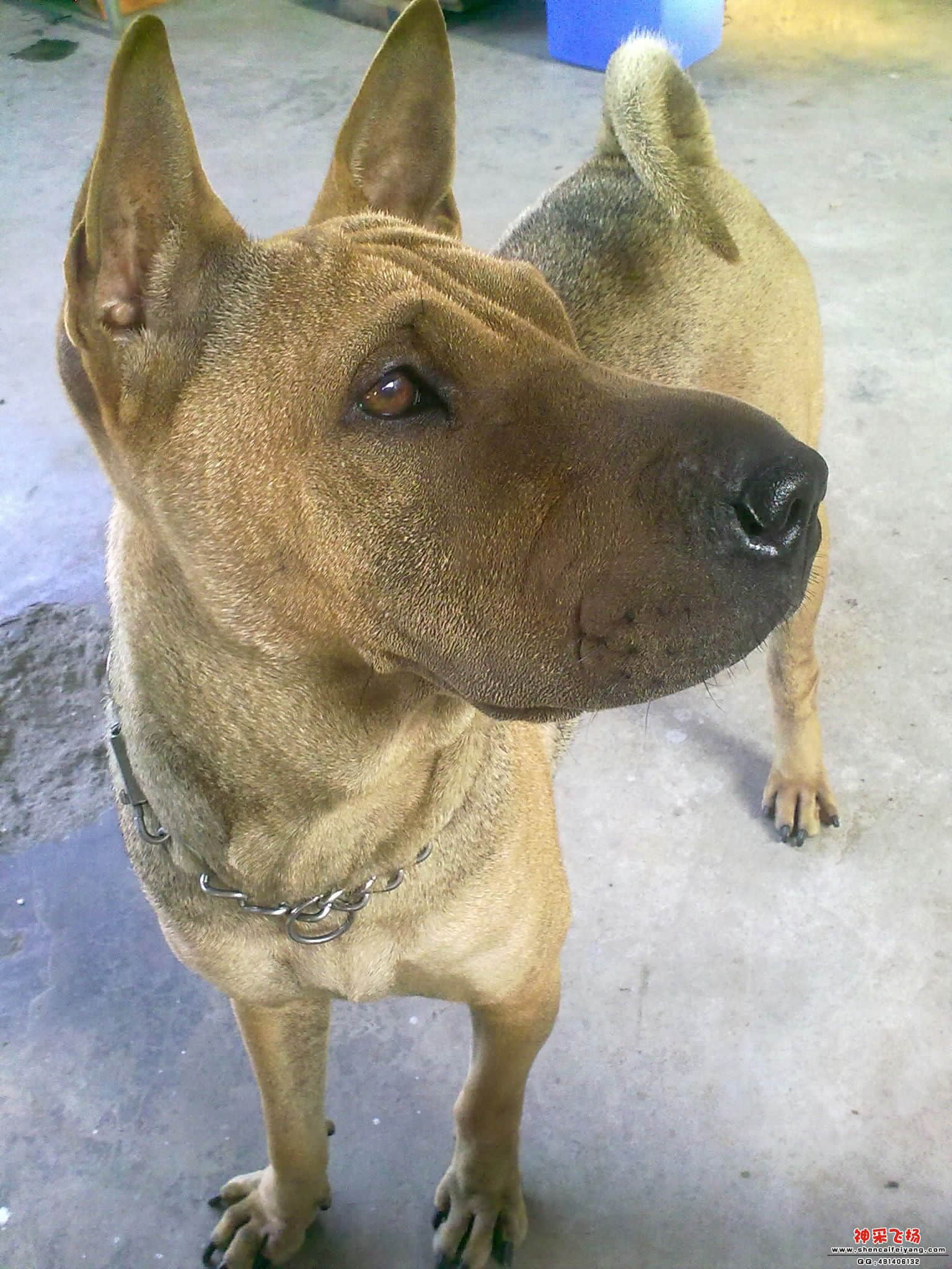 20110702017.jpg