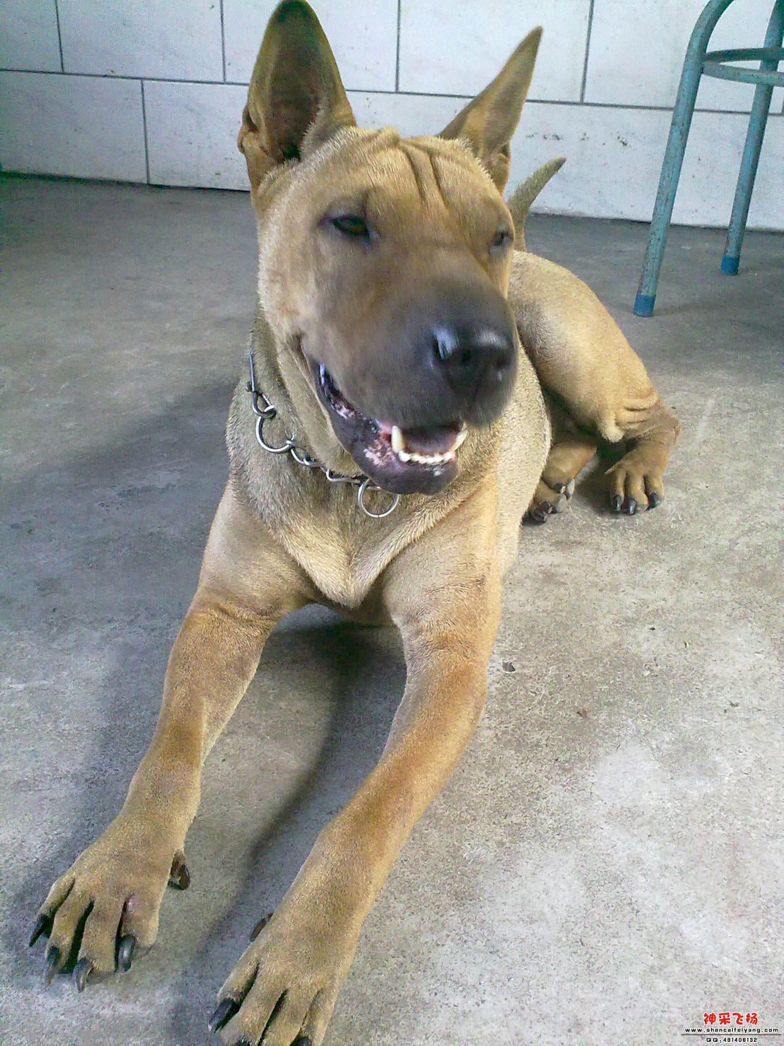 20110702019.jpg