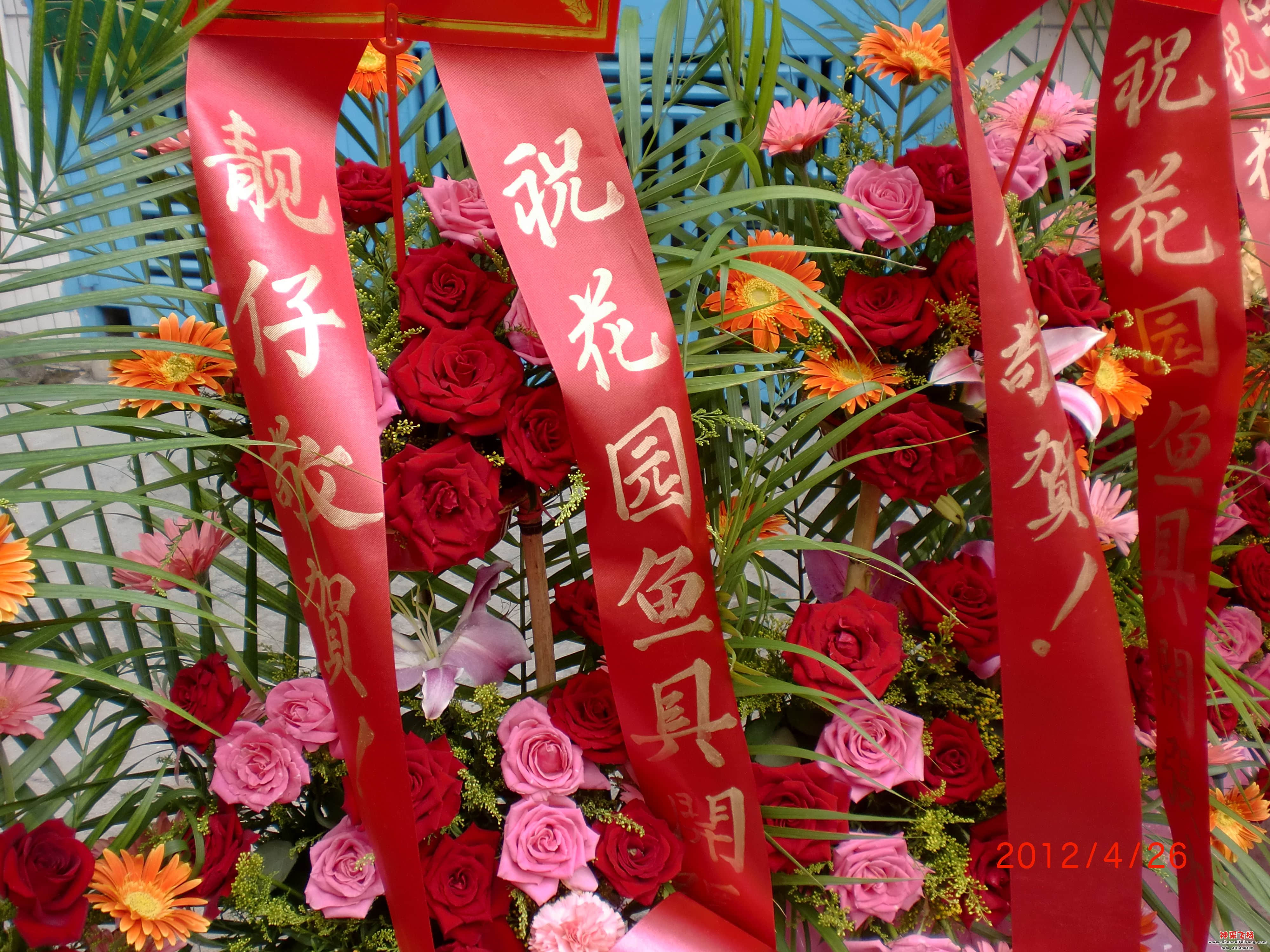CIMG0895.JPG