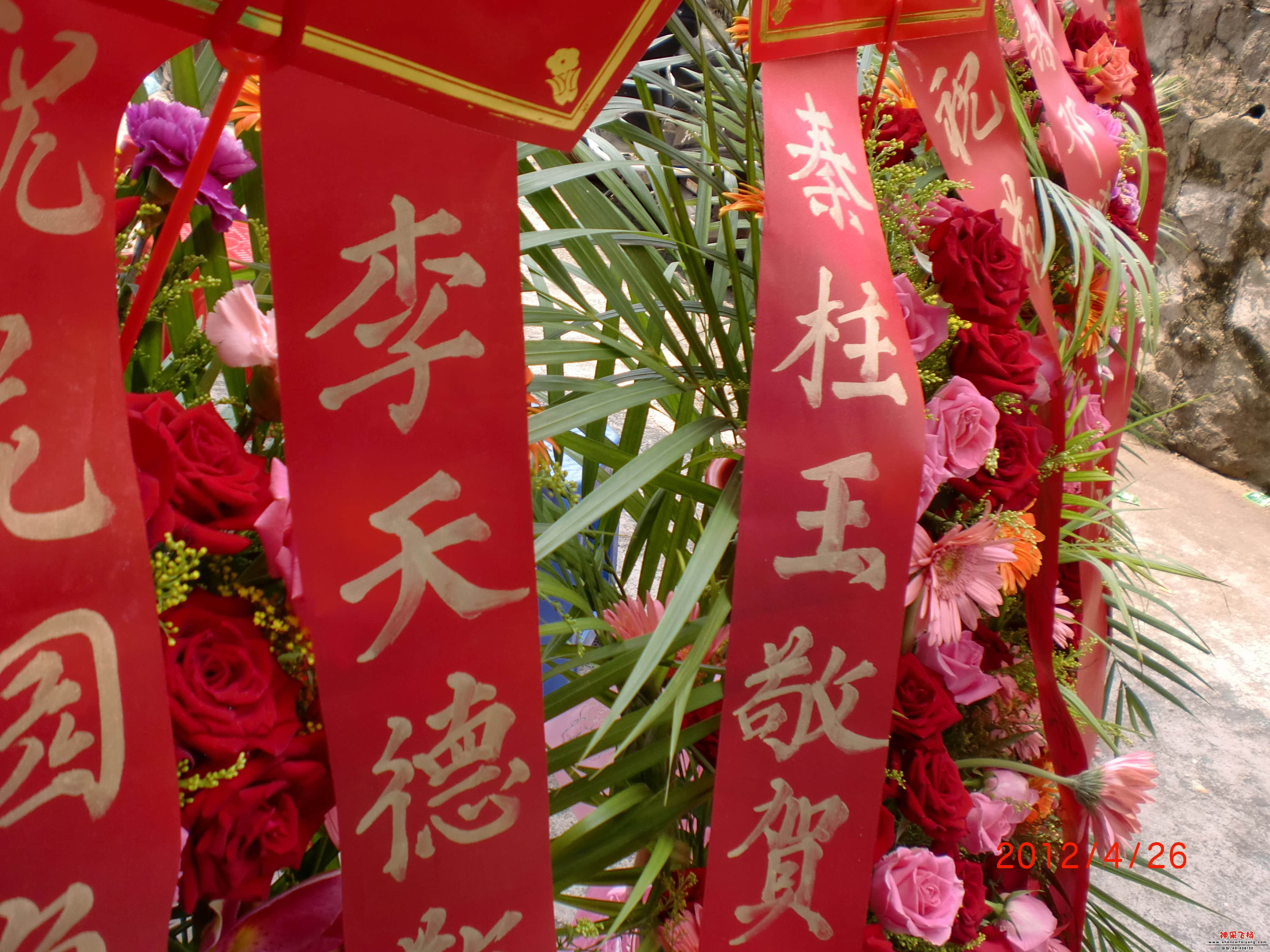 CIMG0901.JPG