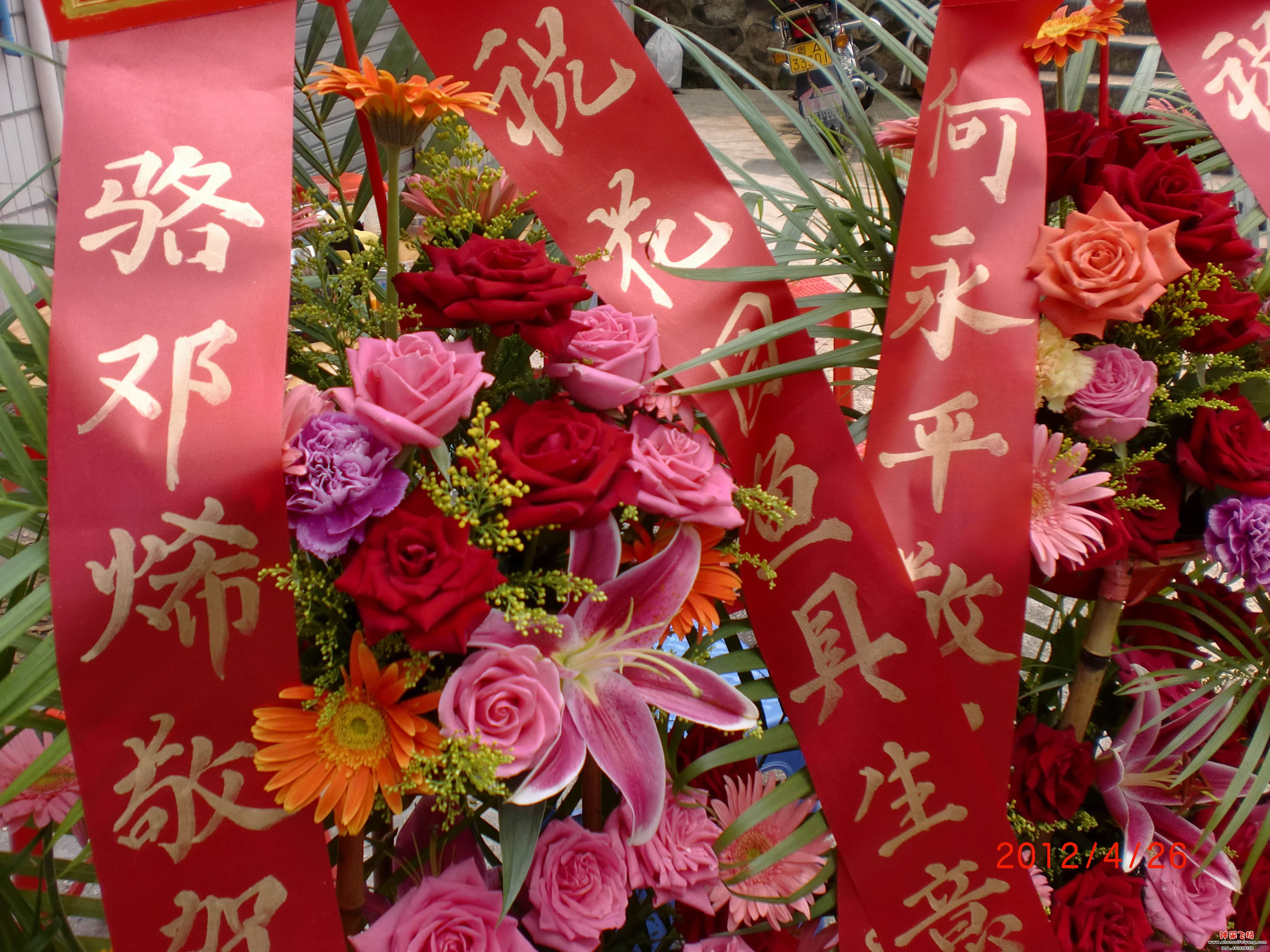 CIMG0902.JPG