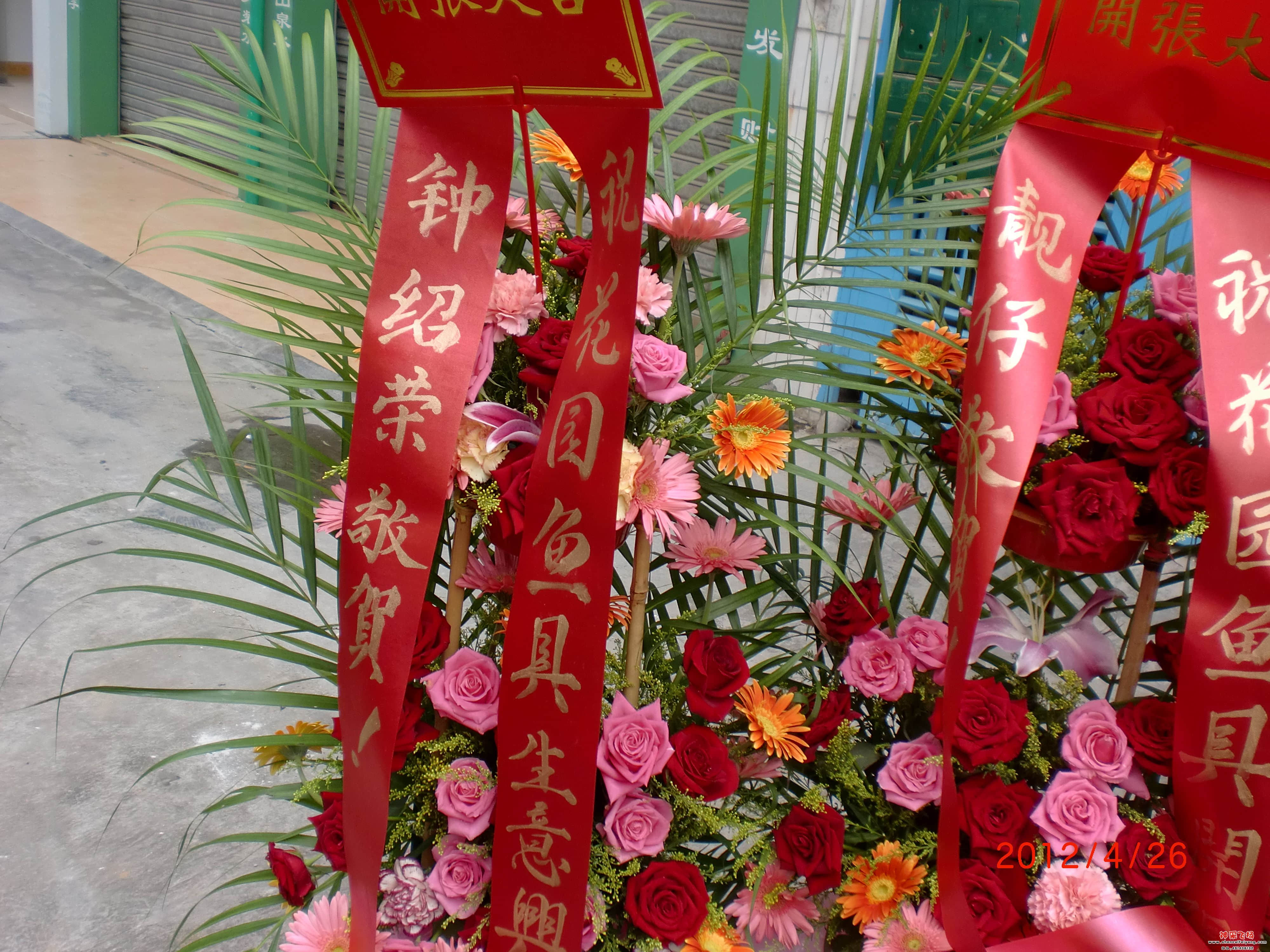 CIMG0904.JPG