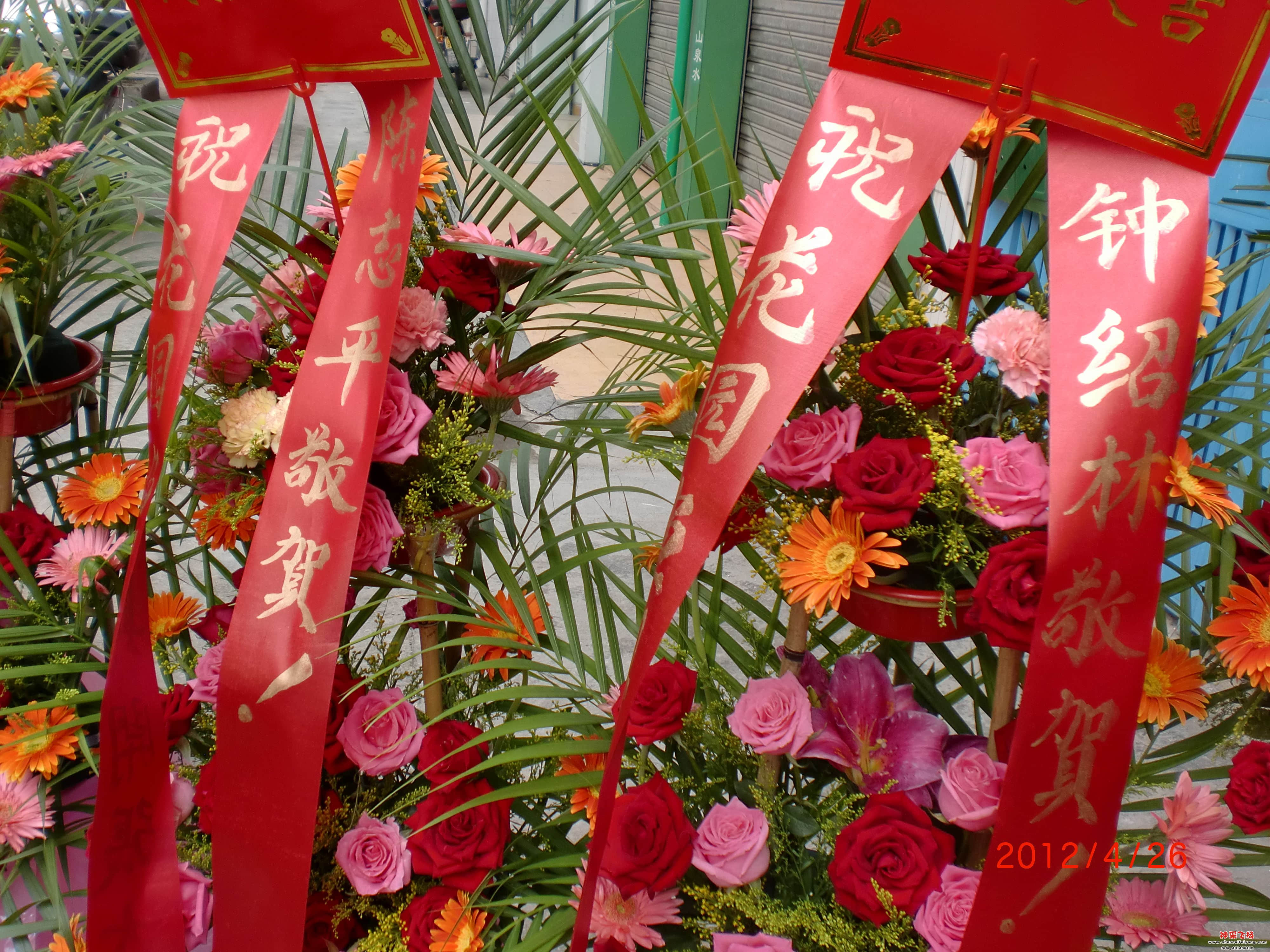 CIMG0905.JPG
