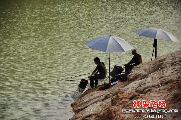 照片 153.jpg