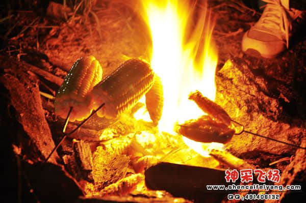 照片 552.jpg