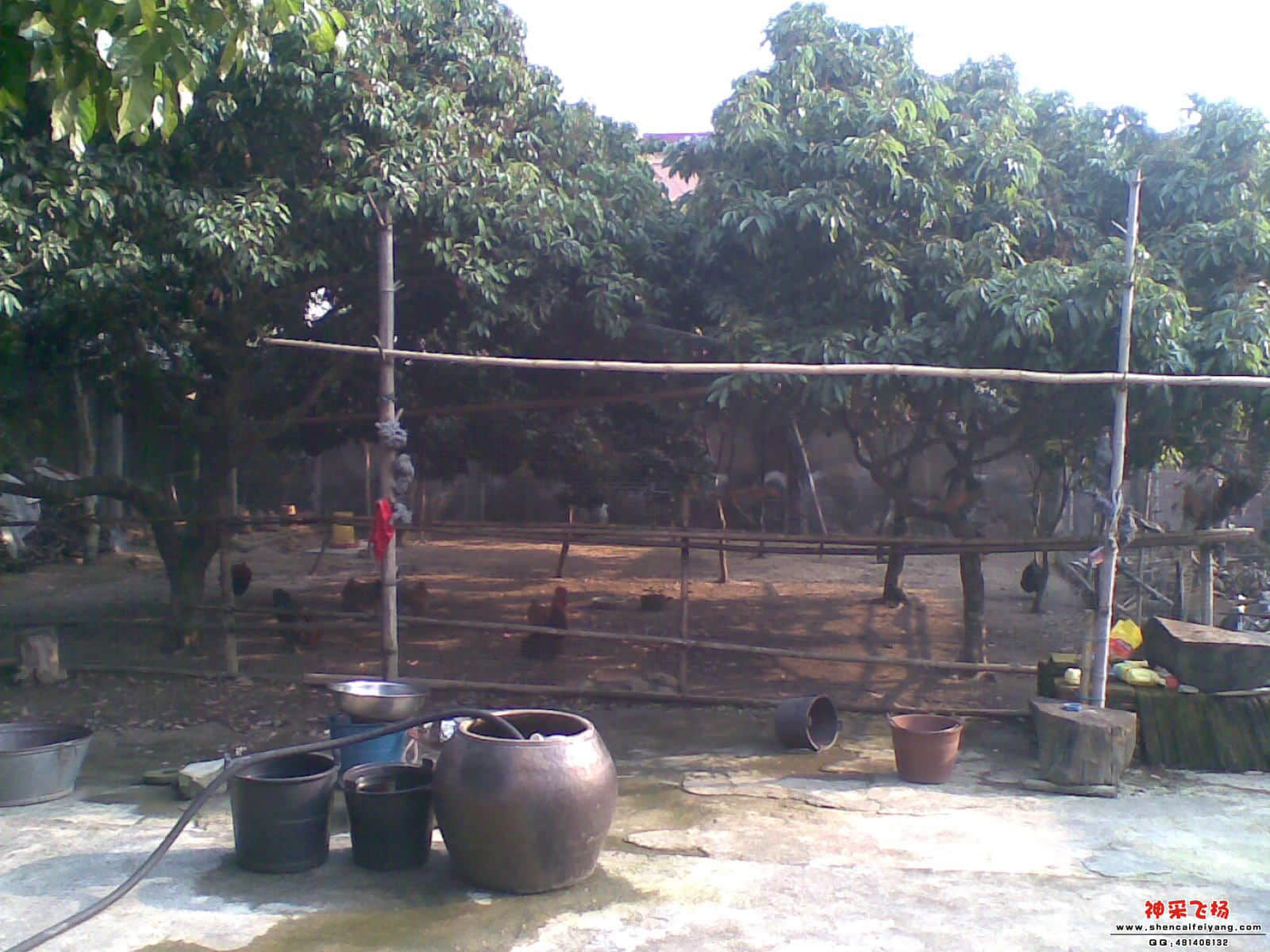20120501_004.jpg