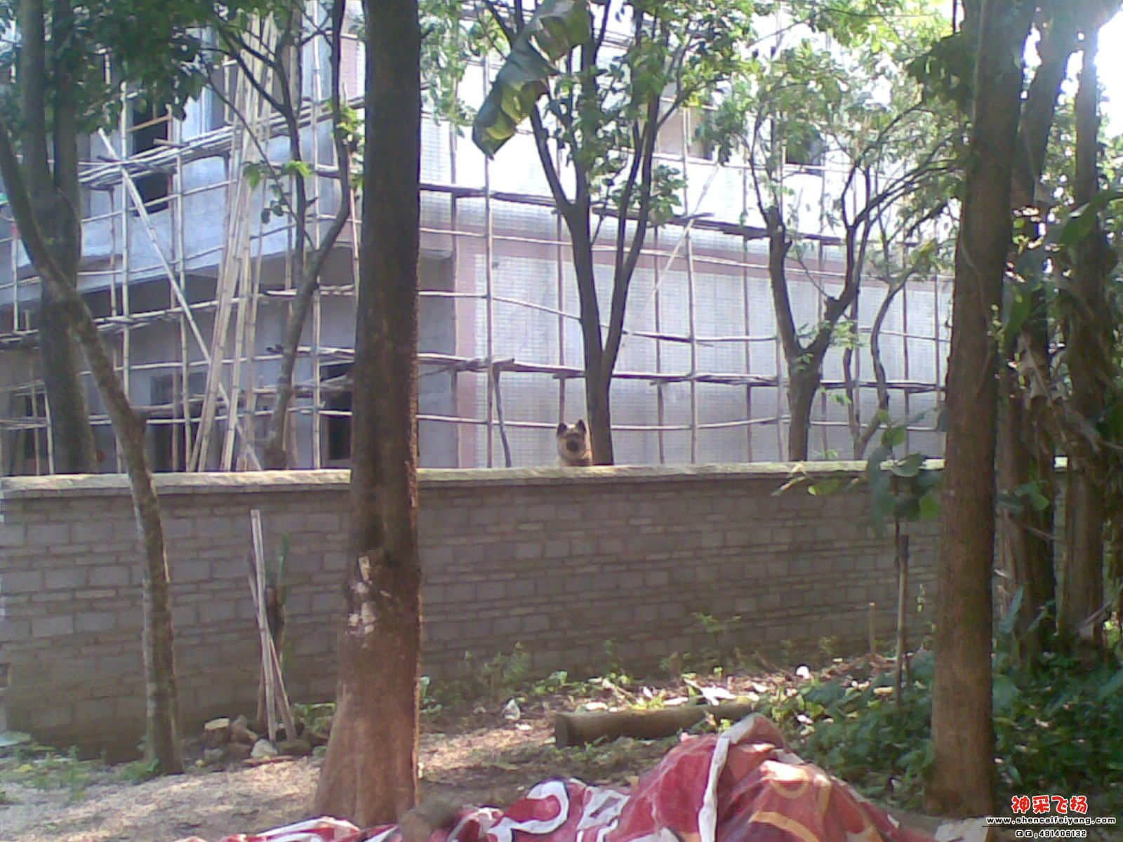 20120501_007.jpg