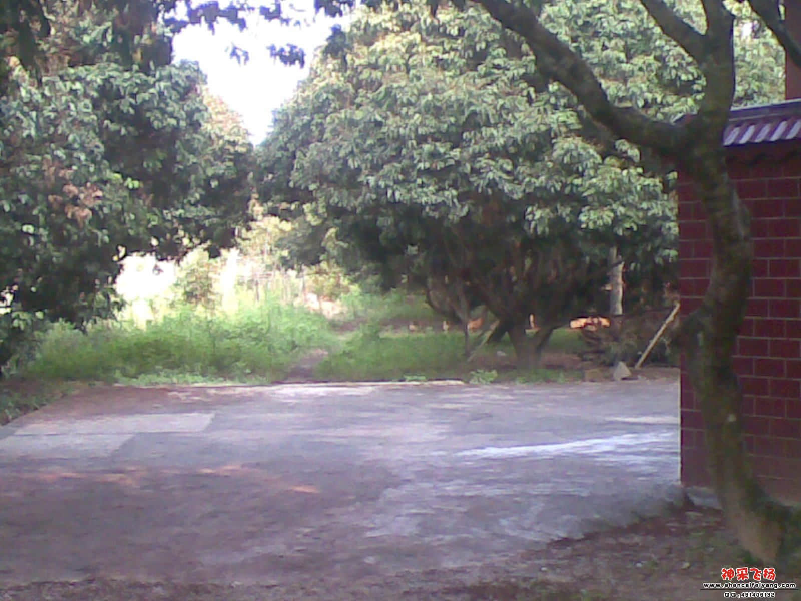20120501_008.jpg