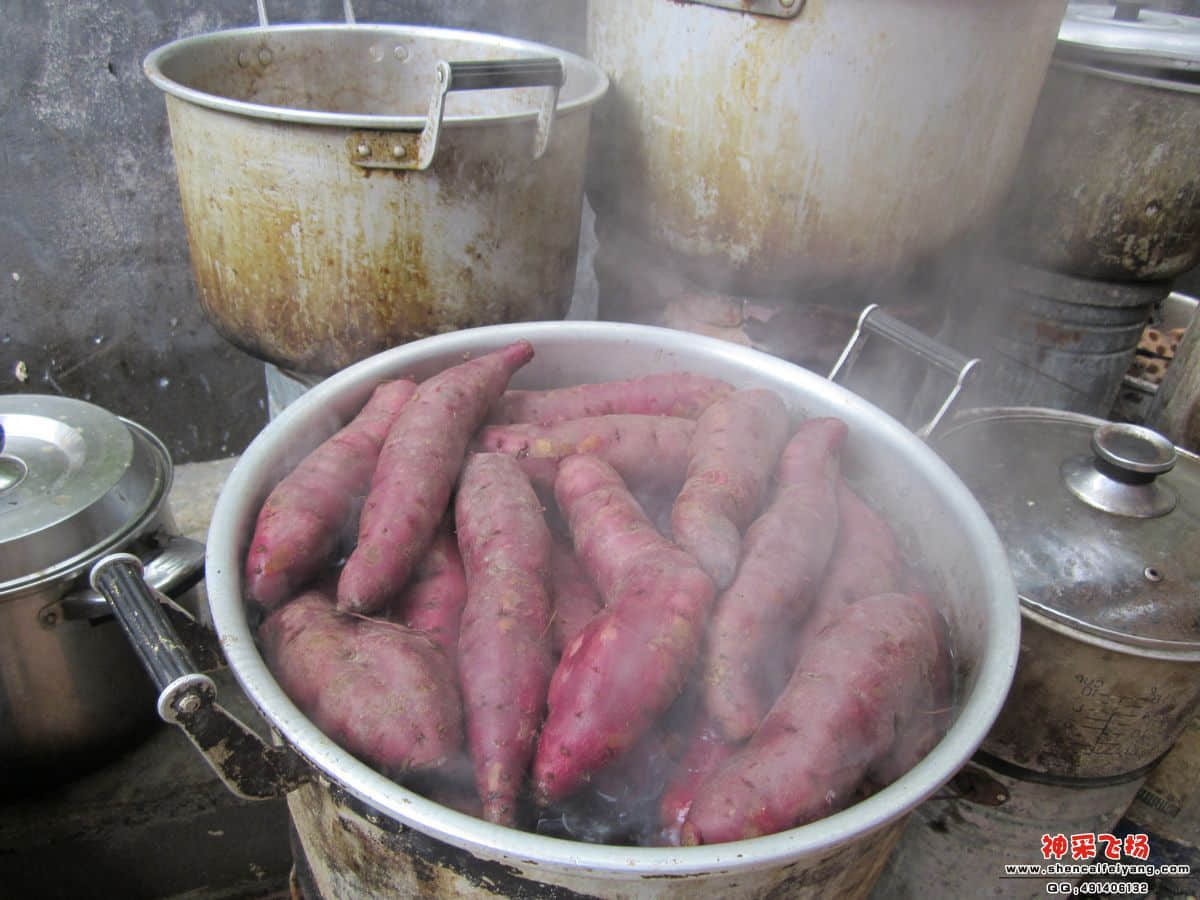 新鲜出炉