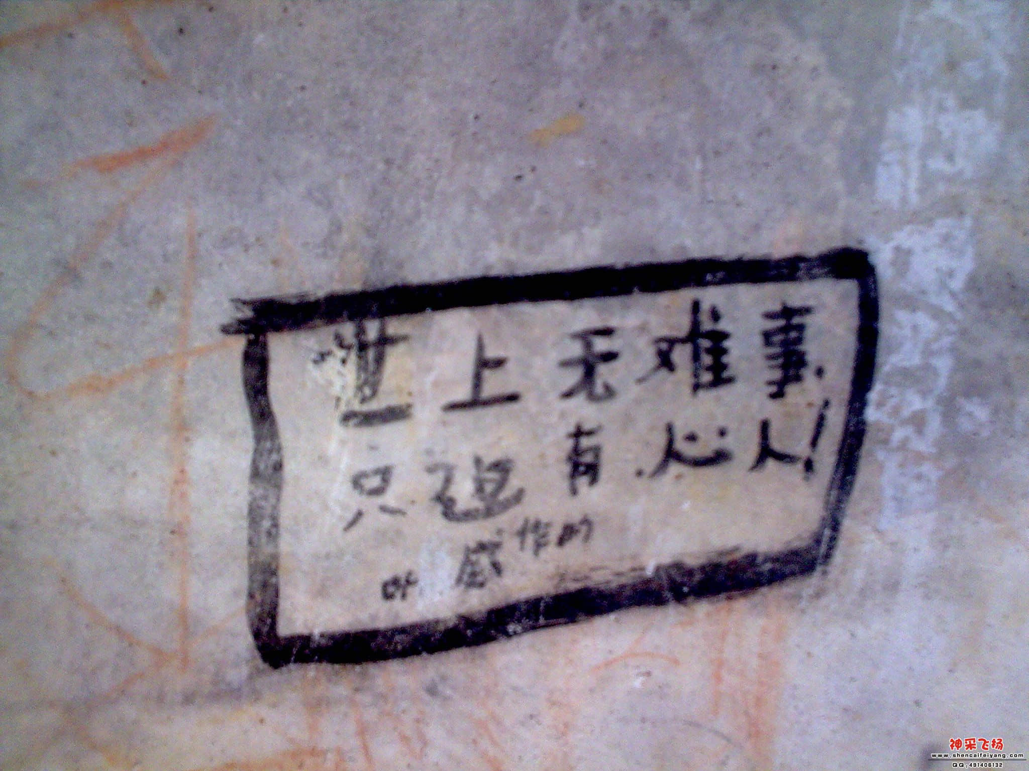 图像008.jpg
