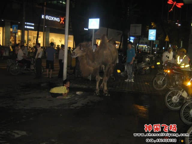 照片 2225.jpg