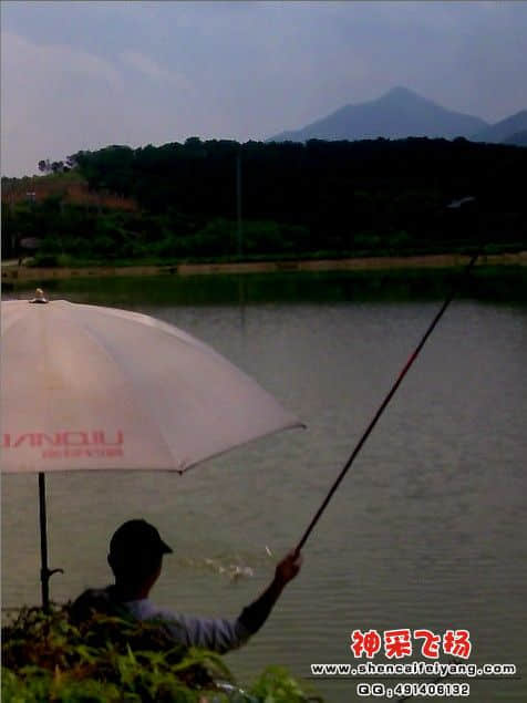 QQ截图20120515042526.jpg