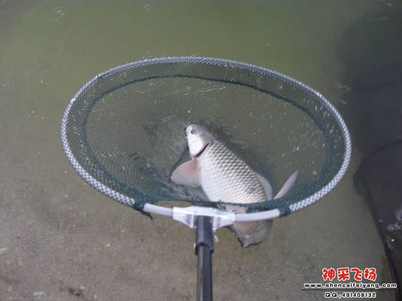 sam_1388_副本.jpg