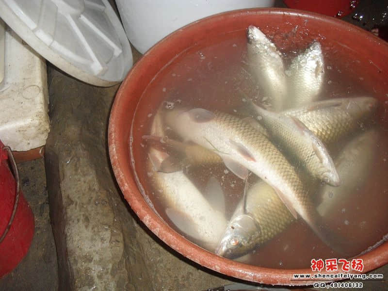 sam_1414_副本.jpg