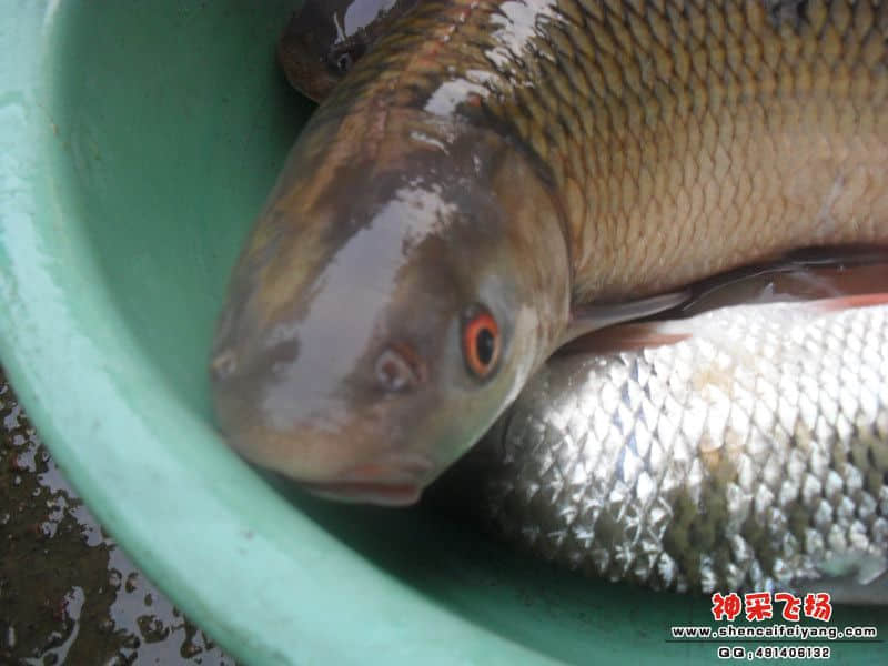 sam_1456_副本.jpg