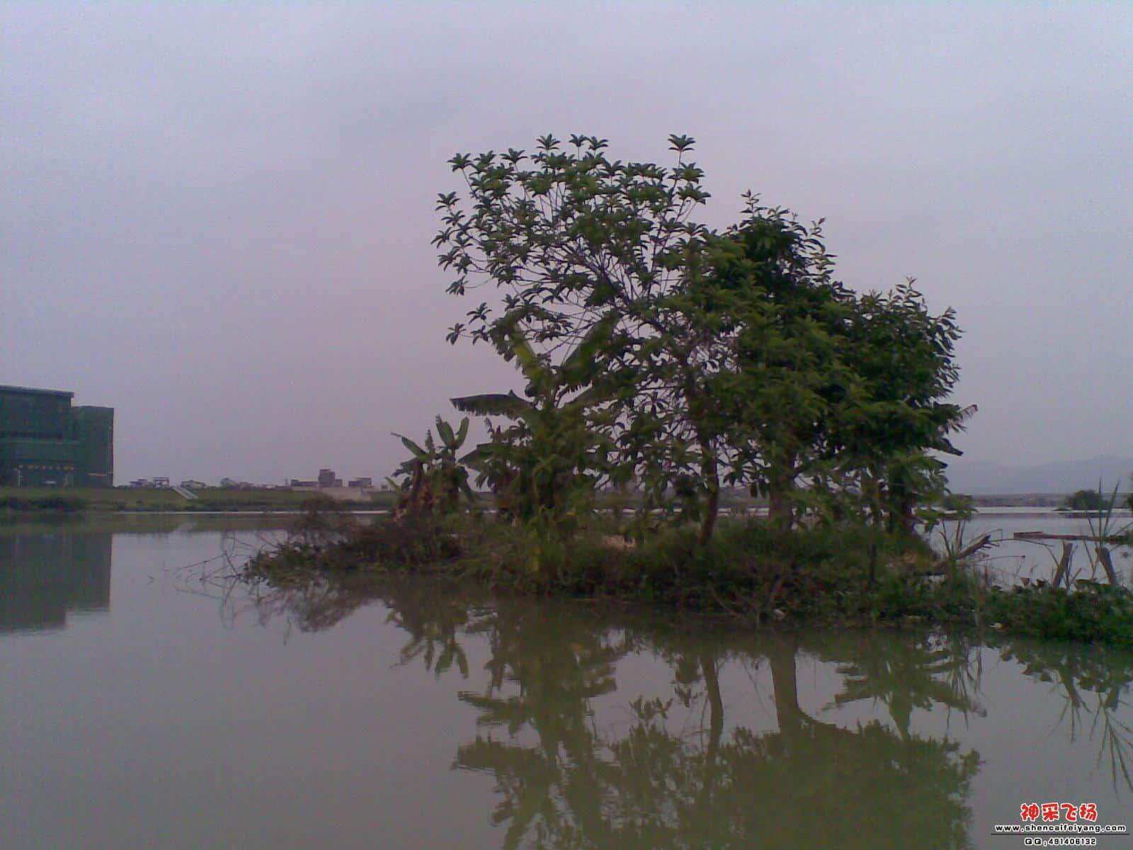20120521_006.jpg