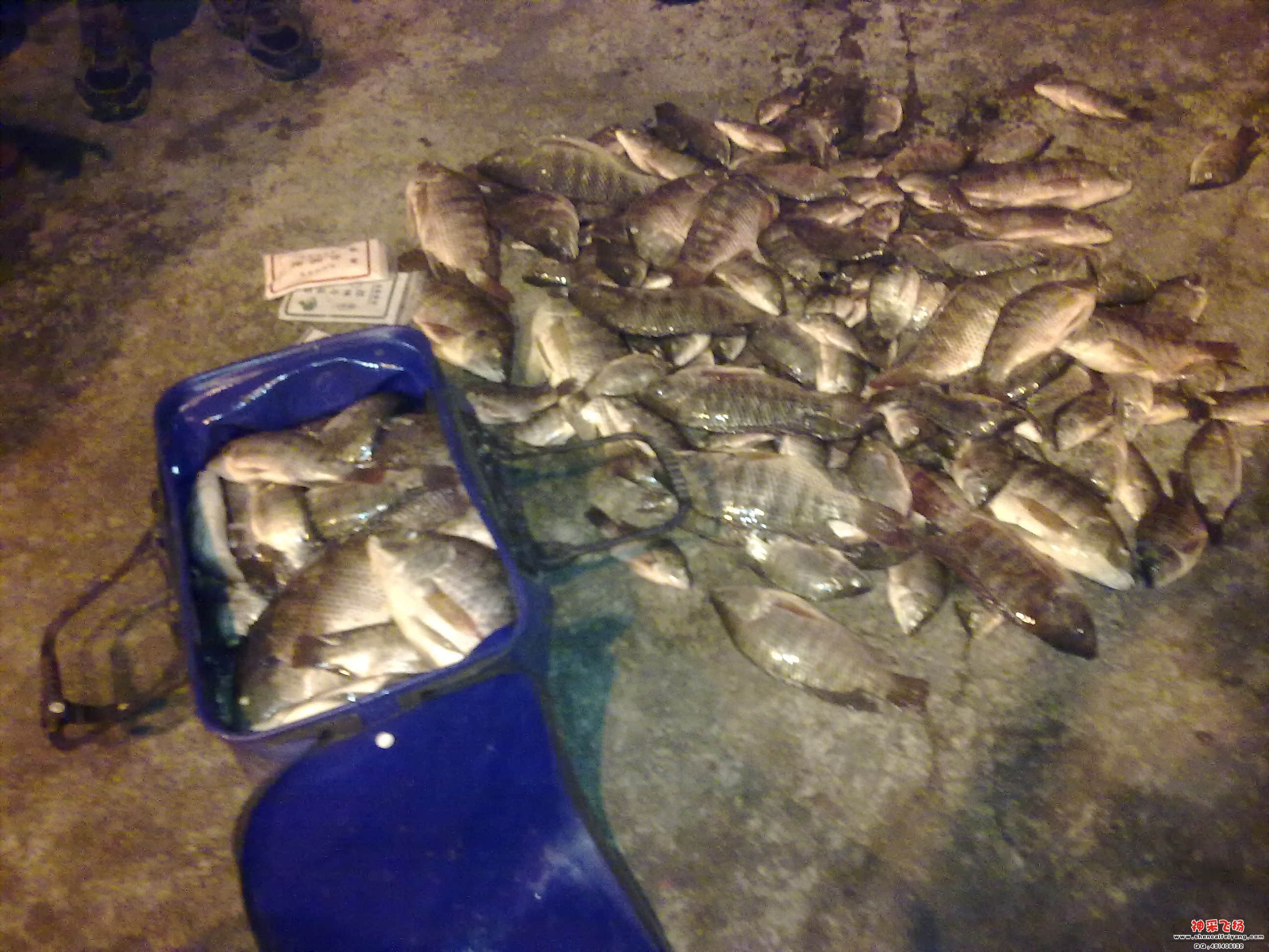 201205201657.jpg