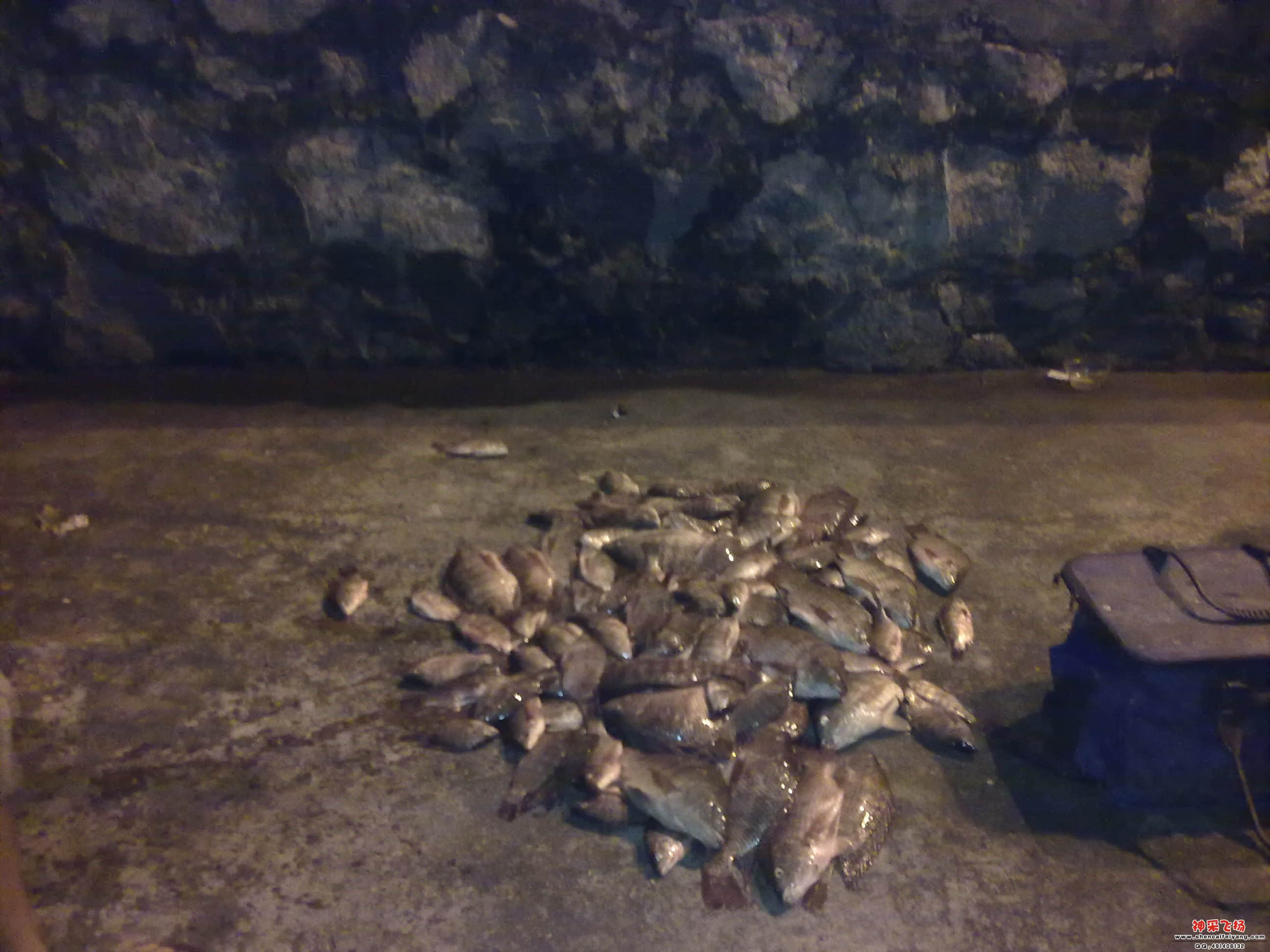 201205201652.jpg