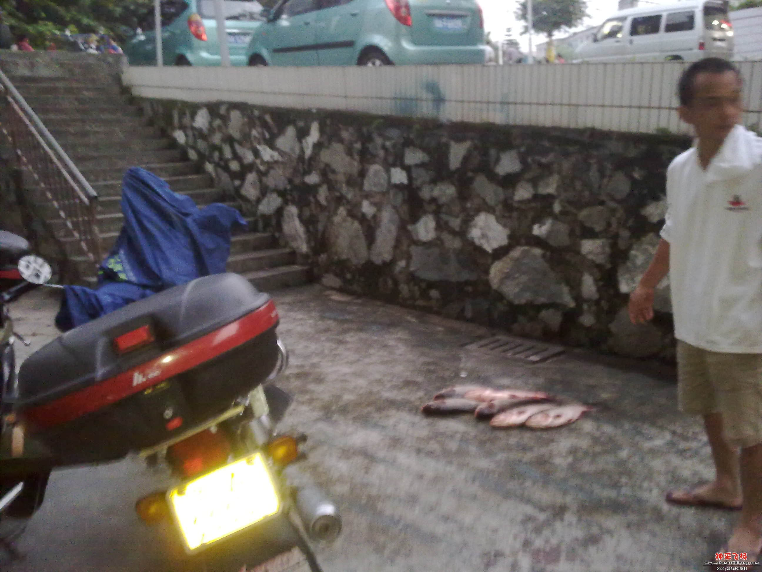 201205051628.jpg