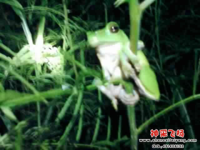 SPM_A0572.jpg