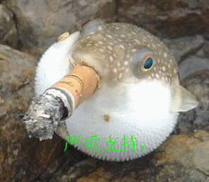 未命名_副本.jpg