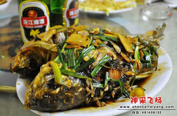 照片 028.jpg
