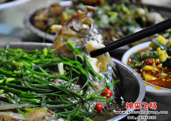 照片 092.jpg