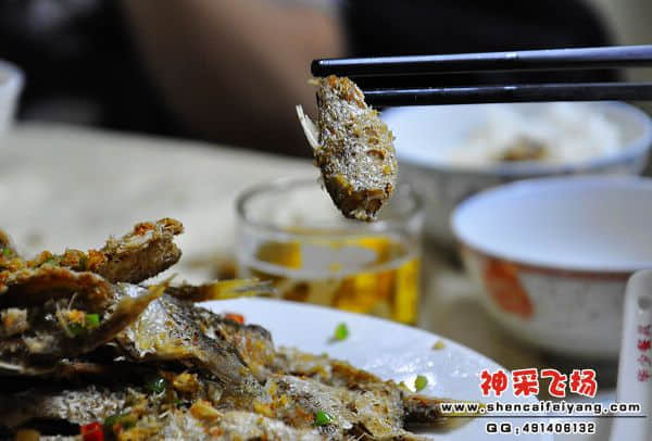 照片 137.jpg
