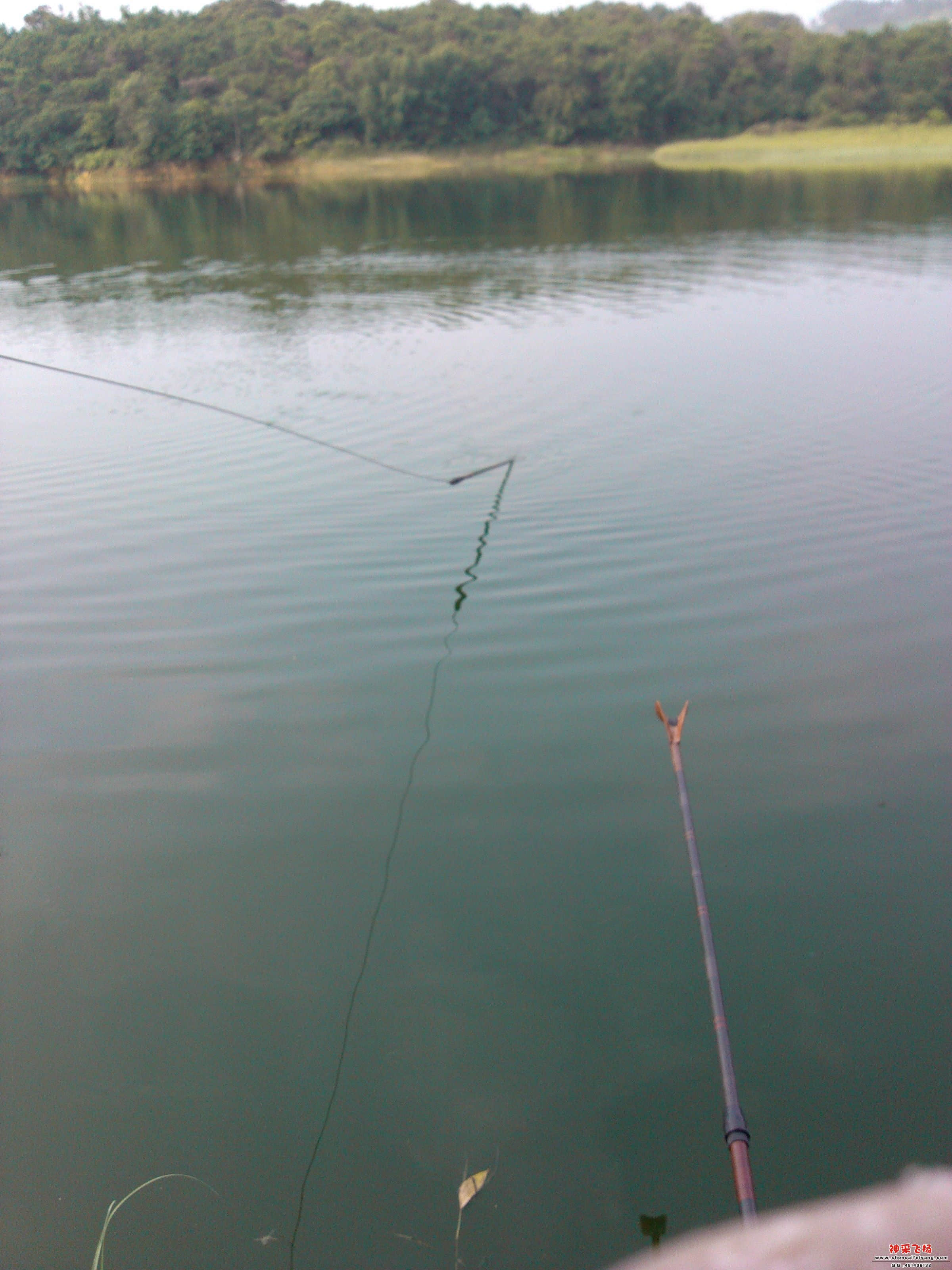 IMG_20120605_163722.jpg
