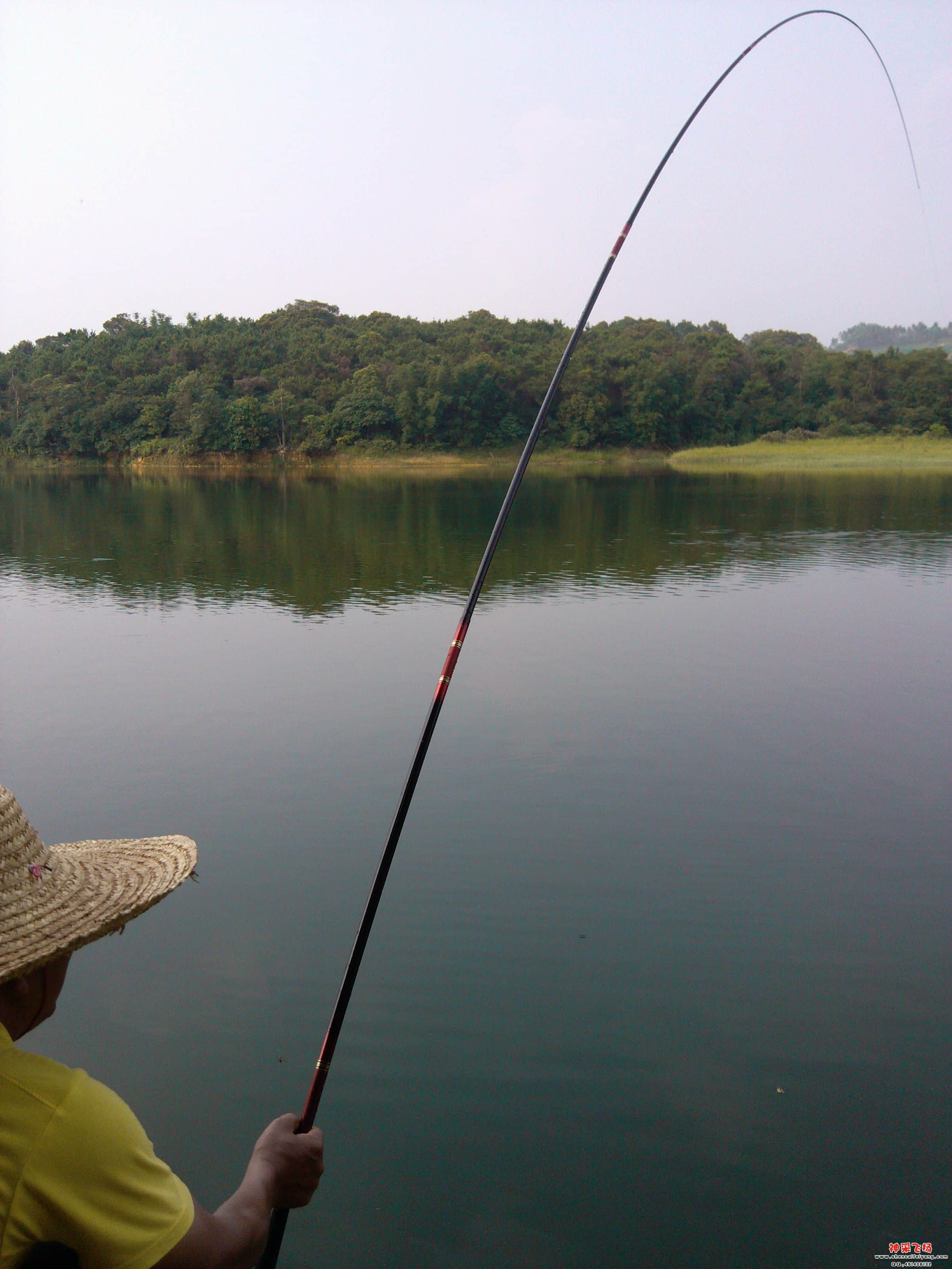 IMG_20120605_163817.jpg