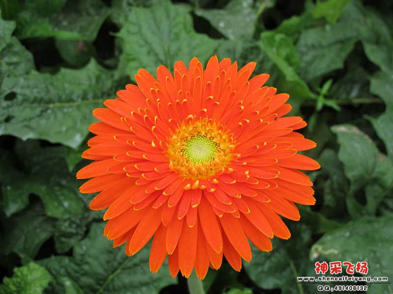 IMG_0656_副本.jpg
