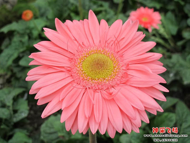 IMG_0658_副本.jpg