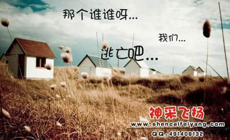 20090321124321-24715211.jpg