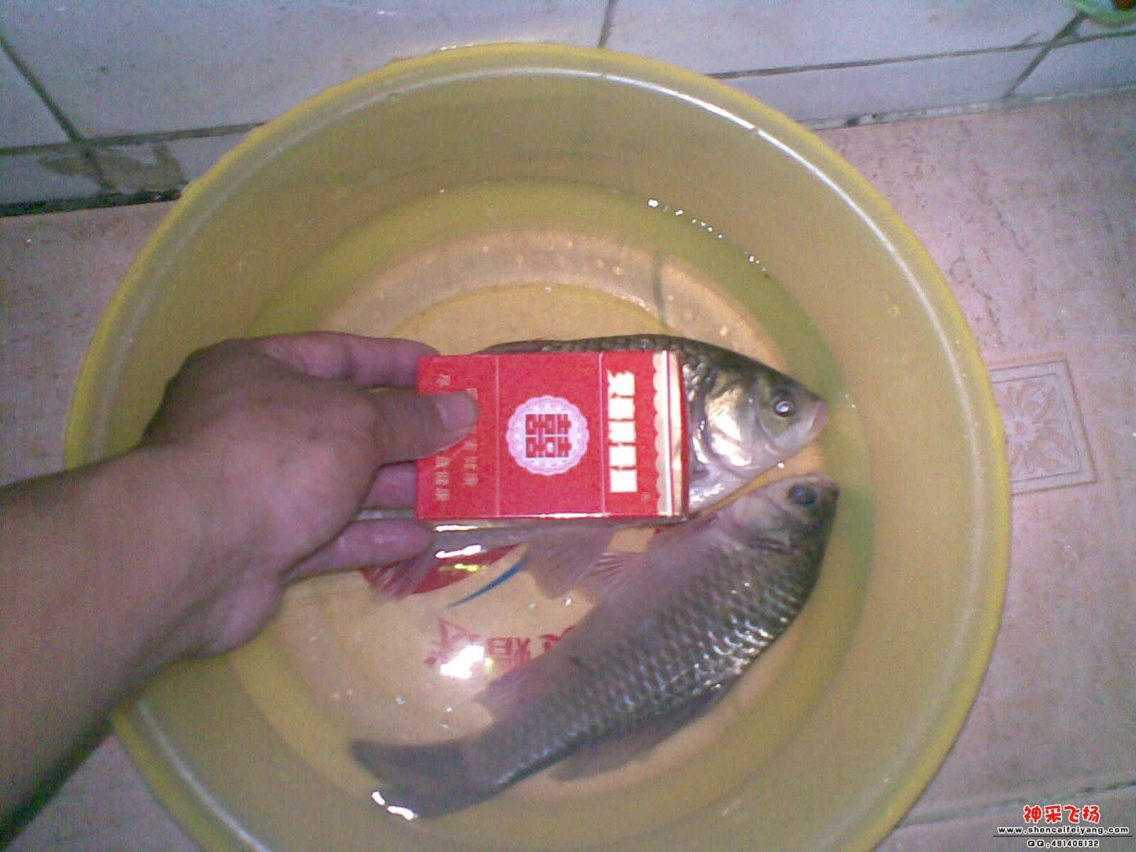 8.jpg
