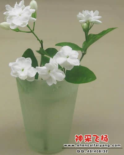 210327ggupe9v6ezqztqqp.jpg