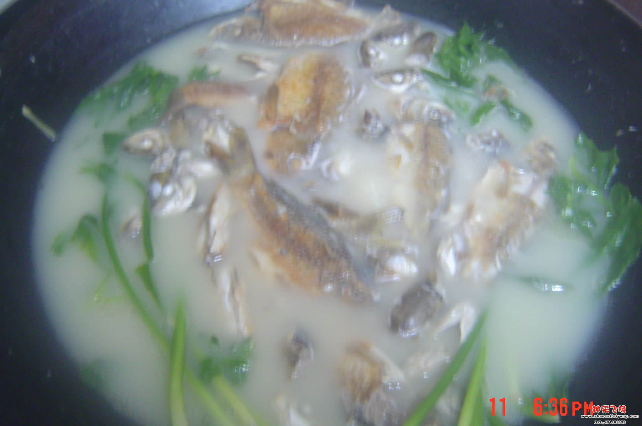 DSC07178.JPG
